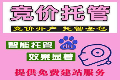 托管竞价sem案例分享：某电商平台的成功之路
